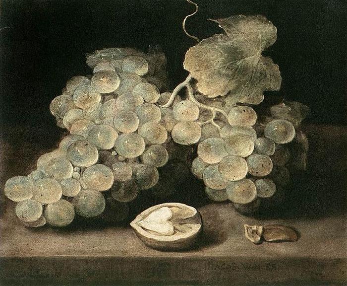 Jacob van Es Grape with Walnut Norge oil painting art